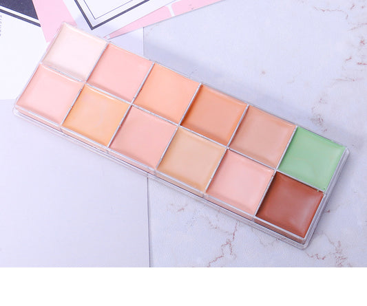12 Colors Natural Contour Face Cream Makeup Cosmetic Kit Concealer Palette