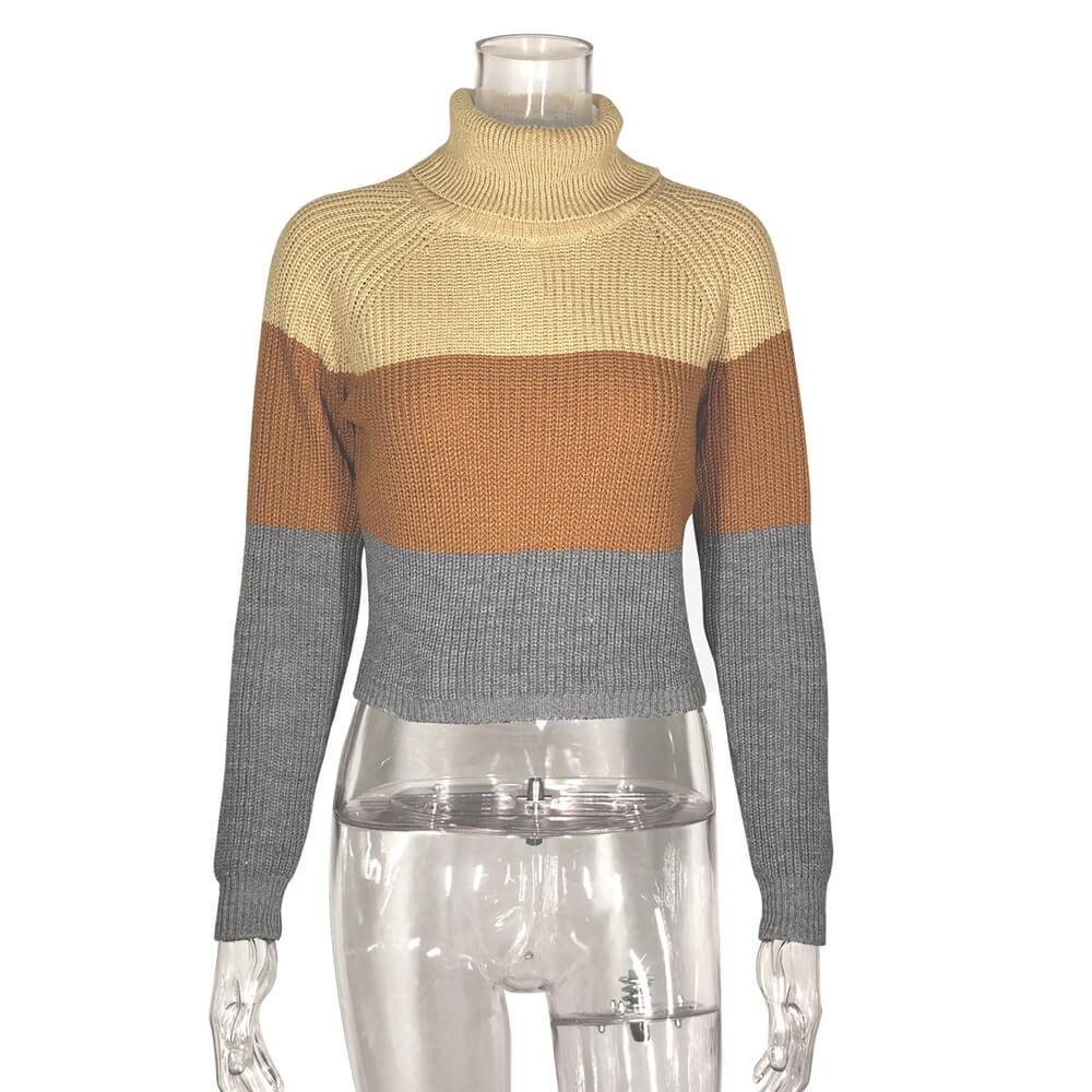 Turtleneck Colorblock Cropped Knit Sweater
