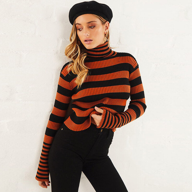 Turtleneck Striped Long Sleeve Pullover Sweater