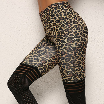 Sexy High Waist Leopard Mesh Skinny Leggings Pants