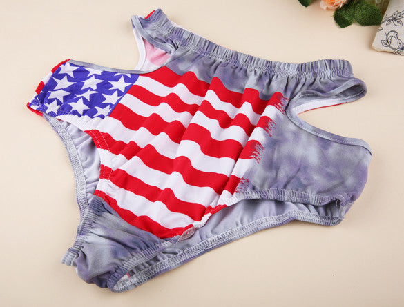 High Waist Sexy Hollow Out Halter American Flag Print Bikini Set - Meet Yours Fashion - 6