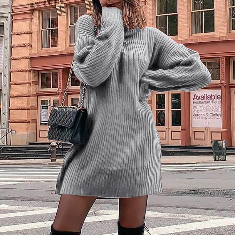 Plus Size Long Sleeve Turtleneck Sweater Dress