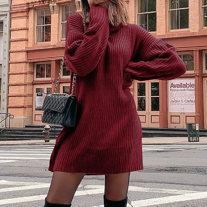 Plus Size Long Sleeve Turtleneck Sweater Dress